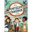 Tehetségek tanodája box