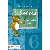 Számírás gyakorlófüzet