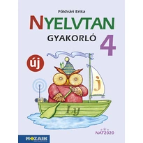 Nyelvtan gyakorló 4.
