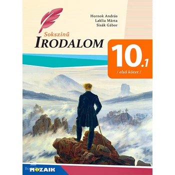 Sokszínű irodalom 10. 1. kötet