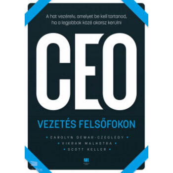 CEO Vezetés felsőfokon - A hat vezérelv, amelyet be kell tartanod, ha a legjobbak közé akarsz kerülni