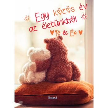 Te és Én  - Egy közös év az életünkből (macis borító)