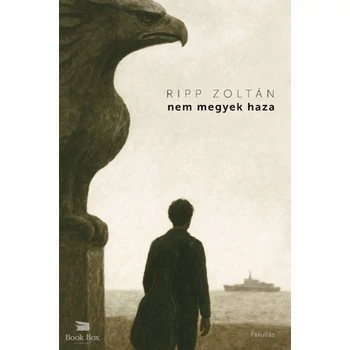 Nem megyek haza