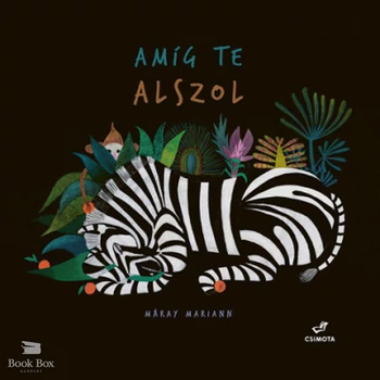 Amíg te alszol