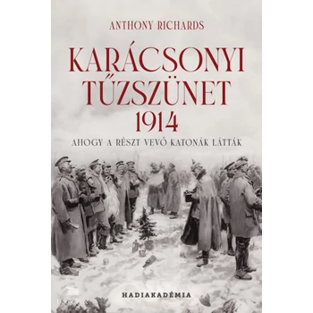 Karácsonyi tűzszünet, 1914- Ahogy a részt vevő katonák látták