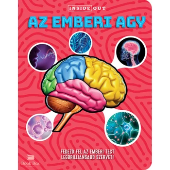 Az emberi agy