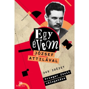 Egy évem József Attilával