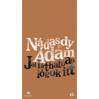Jól láthatóan lógok itt