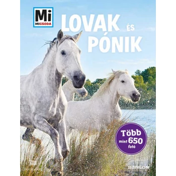 Lovak és pónik - Mi Micsoda- Több mint 650 fotó