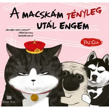 A macskám tényleg utál engem- Macska és Kutya 2.