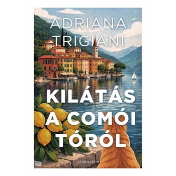 Kilátás a Comói-tóról