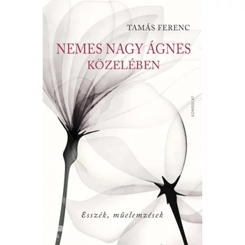 Nemes Nagy Ágnes közelében