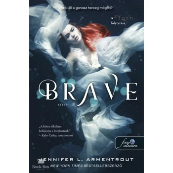 Brave - Bátor- Megveszekedett 3.