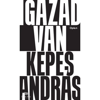Igazad van