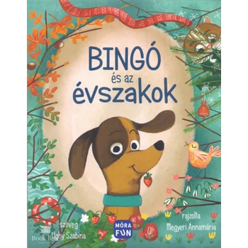 Bingó és az évszakok