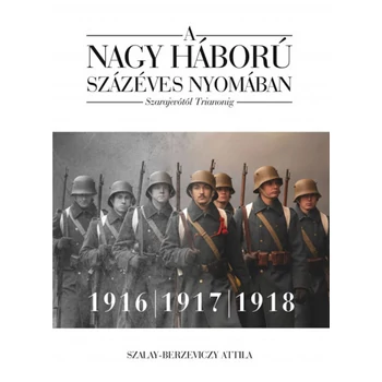 A nagy háború százéves nyomában: Szarajevótól Trianonig - 2. kötet- 1916-1917-1918