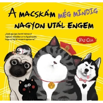 A macskám még mindig nagyon utál engem- Macska és Kutya 3.