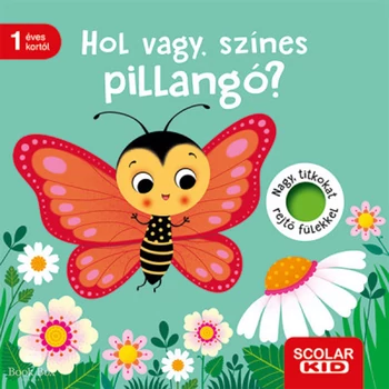Hol vagy, színes pillangó?