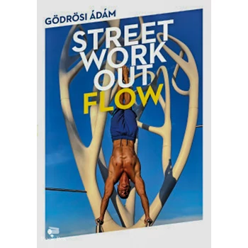 Street workout flow