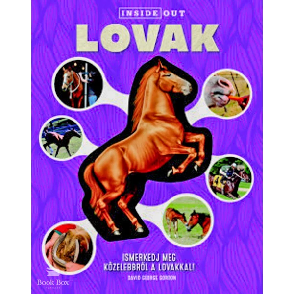Lovak- Ismerkedj meg közelebbről a lovakkal!