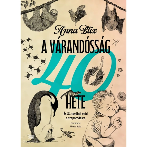 A várandósság 40 hete- És 81 további mód a szaporodásra