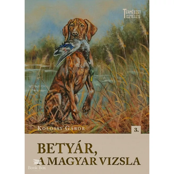 Betyár, a magyar vizsla
