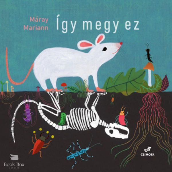 Így megy ez