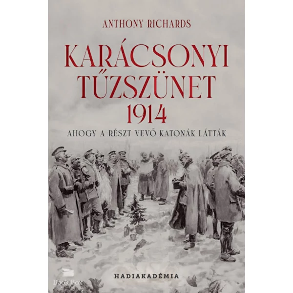 Karácsonyi tűzszünet, 1914- Ahogy a részt vevő katonák látták