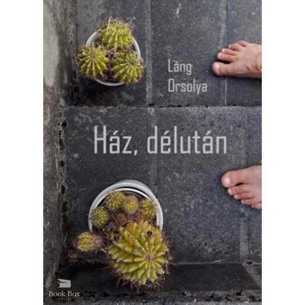 Ház, délután
