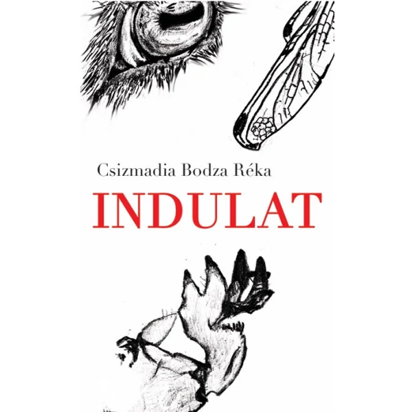 Indulat