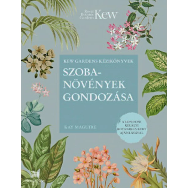 Szobanövények gondozása