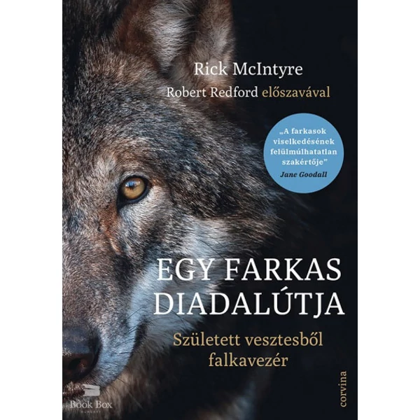 Egy farkas diadalútja - Született vesztesből falkavezér