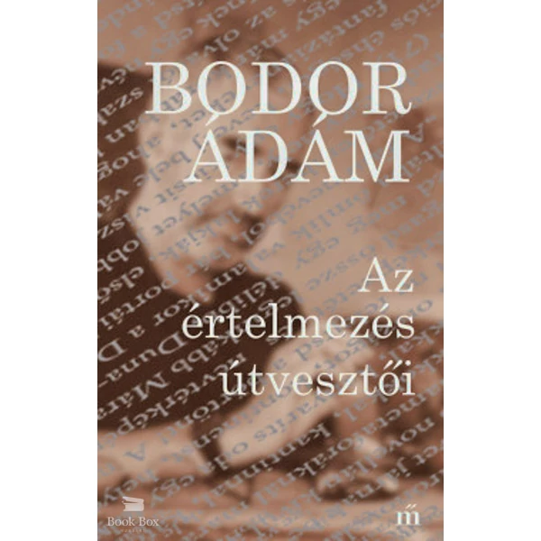 Az értelmezés útvesztői