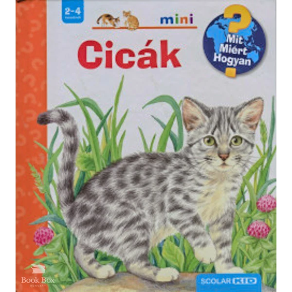 Cicák- MIT? MIÉRT? HOGYAN? 7.