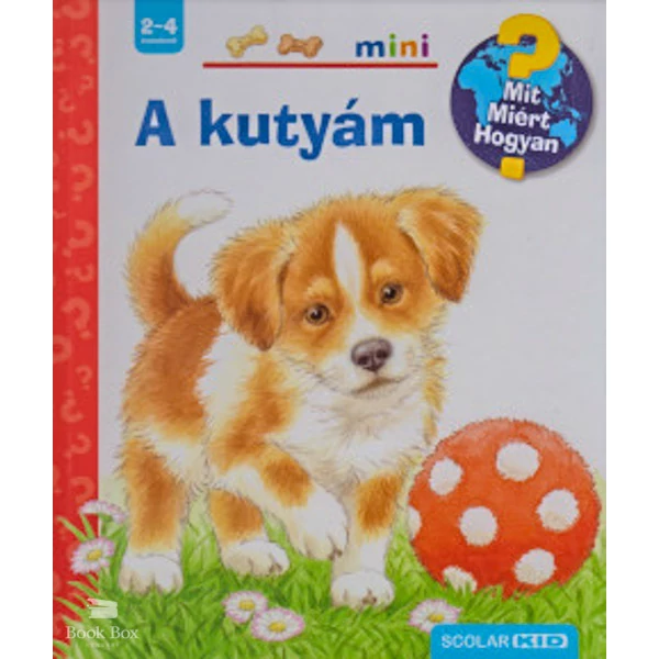 A kutyám- Scolar Mini - Mit? Miért? Hogyan? - Kihajtható ablakokkal