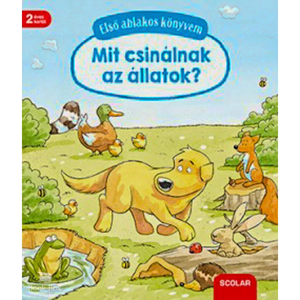 Első ablakos könyvem - Mit csinálnak az állatok?
