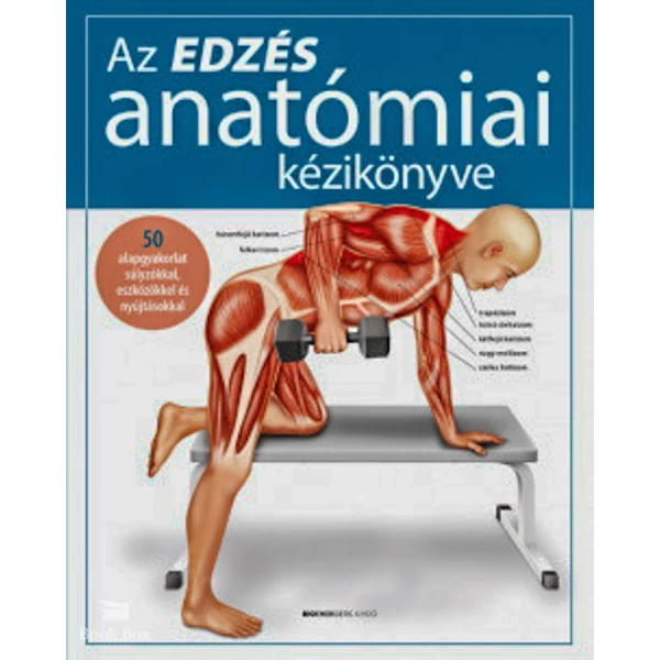 Az edzés anatómiai kézikönyve- 50 alapgyakorlat súlyzókkal, eszközökkel és nyújtásokkal