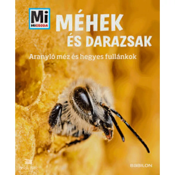 Méhek és darazsak- Aranyló méz és hegyes fullánkok - Mi Micsoda