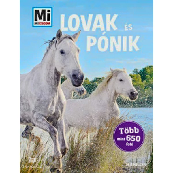 Lovak és pónik - Mi Micsoda- Több mint 650 fotó
