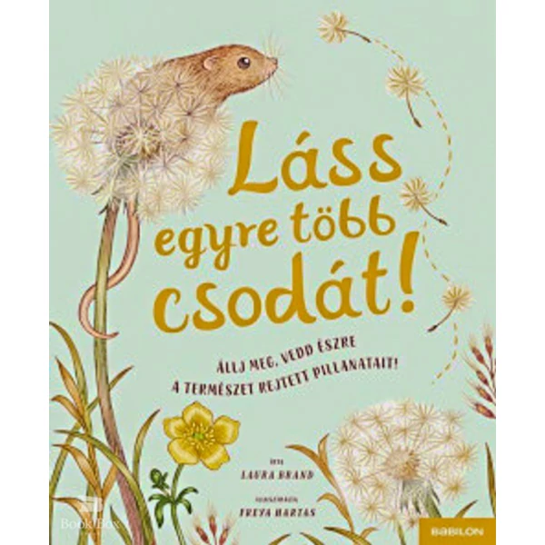 Láss egyre több csodát! - Állj meg, vedd észre a természet rejtett pillanatait!