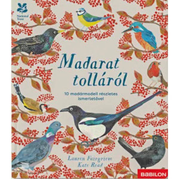 Madarat tolláról - 10 madármodell részletes ismertetővel