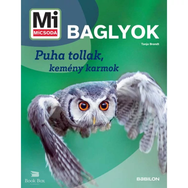 Baglyok - Mi MICSODA ÚJ- Puha tollak, kemény karmok