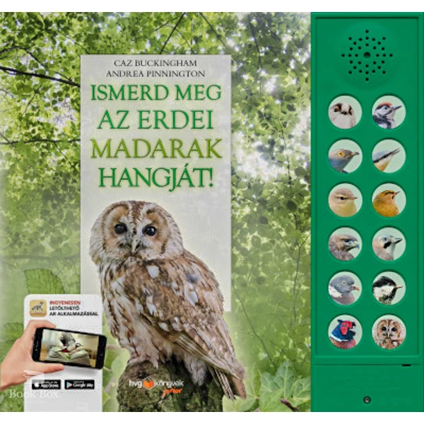 Ismerd meg az erdei madarak hangját!