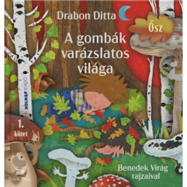 A gombák varázslatos világa