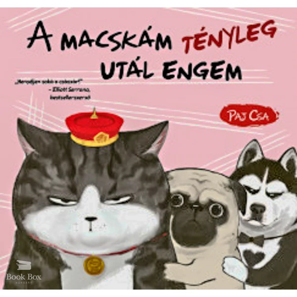 A macskám tényleg utál engem- Macska és Kutya 2.