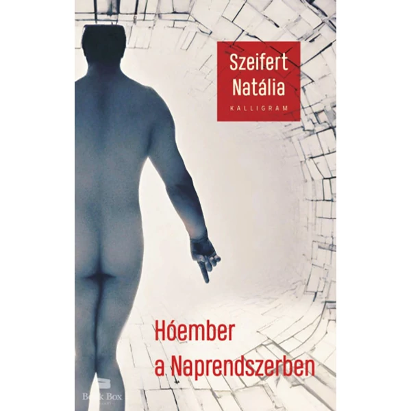 Hóember a Naprendszerben