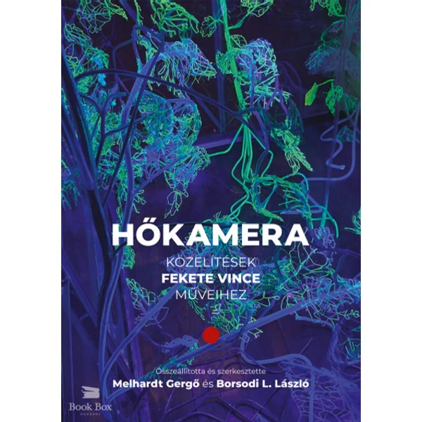 Hőkamera- Közelítések Fekete Vince műveihez
