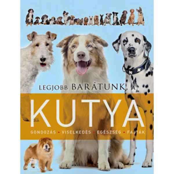 Legjobb barátunk, a kutya