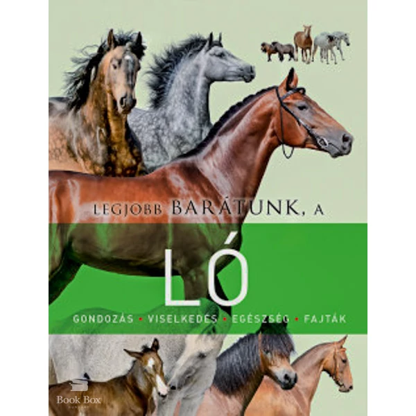 Legjobb barátunk, a ló