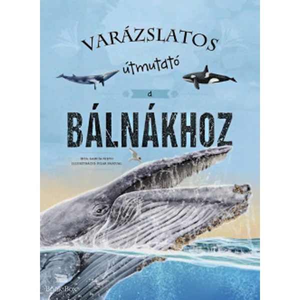 Varázslatos útmutató a bálnákhoz